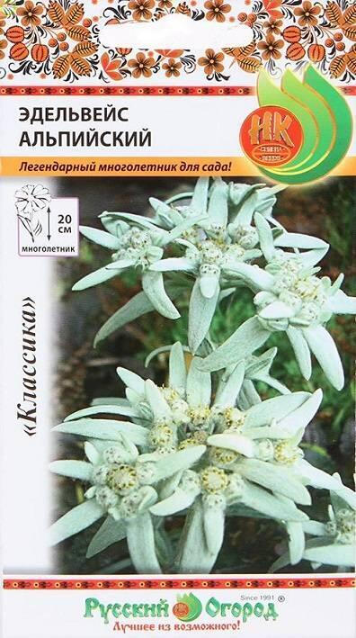 Купить оптом в Ботанике семена Эдельвейс Альпийский НК бренд НК