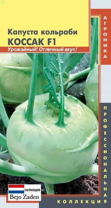 Купить оптом в Ботанике семена Капуста кольраби Коссак F1 Плз бренд Плазмас