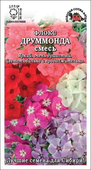 Купить оптом в Ботанике семена Флокс Друммонда смесь цветной ЗС бренд Золотая сотка
