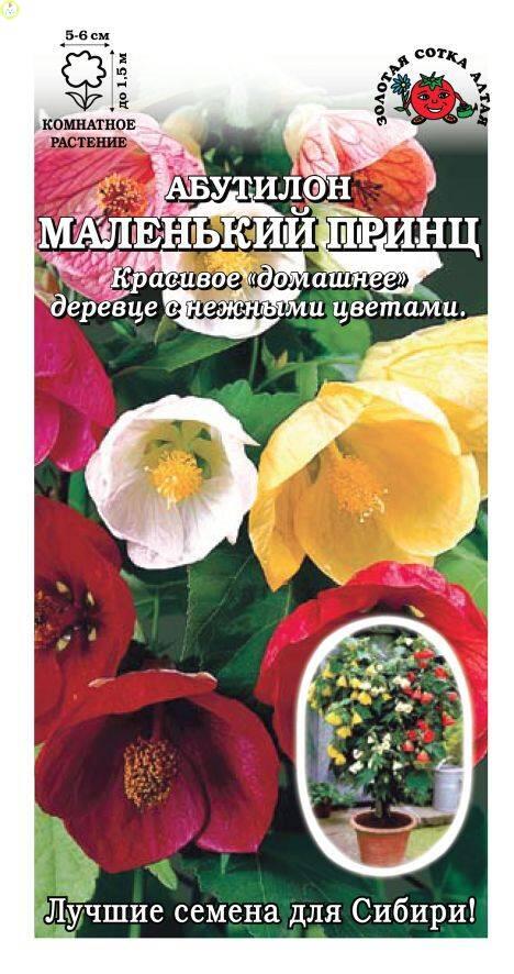 Купить оптом в Ботанике семена Абутилон Маленький принц ЗС бренд Золотая сотка