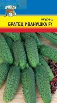 Купить оптом в Ботанике семена Огурец Братец Иванушка F1 УУ бренд Урожай Удачи