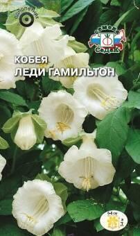 Купить оптом в Ботанике семена Кобея лазающая Леди Гамильтон Сед бренд СеДеК