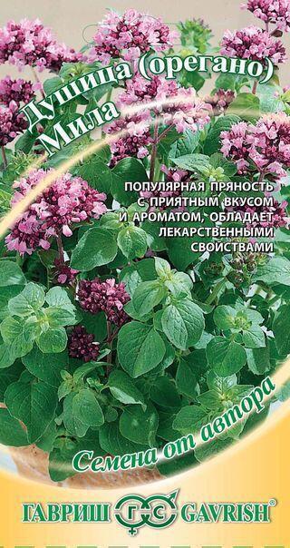 Купить оптом в Ботанике семена Душица Мила (орегано) Гав бренд Гавриш