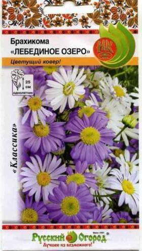 Купить оптом в Ботанике семена Брахикома Лебединое озеро НК бренд НК