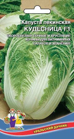 Купить оптом в Ботанике семена Капуста пекинская Кудесница УД бренд Уральский дачник