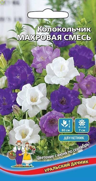 Купить оптом в Ботанике семена Колокольчик Махровая смесь УД бренд Уральский дачник