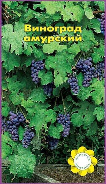 Купить оптом в Ботанике семена Виноград Амурский (лиана) УУ бренд Урожай Удачи