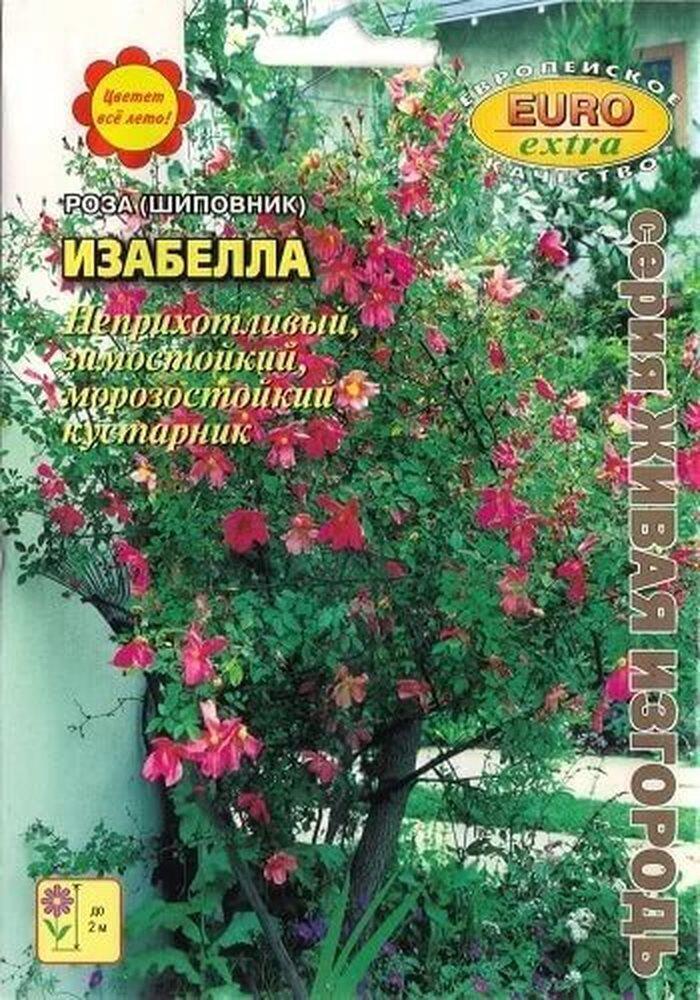 Купить оптом в Ботанике семена Роза Изабелла (шиповник) БП Аэл бренд Аэлита