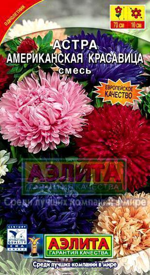 Купить оптом в Ботанике семена Астра Американская красавица Аэл бренд Аэлита