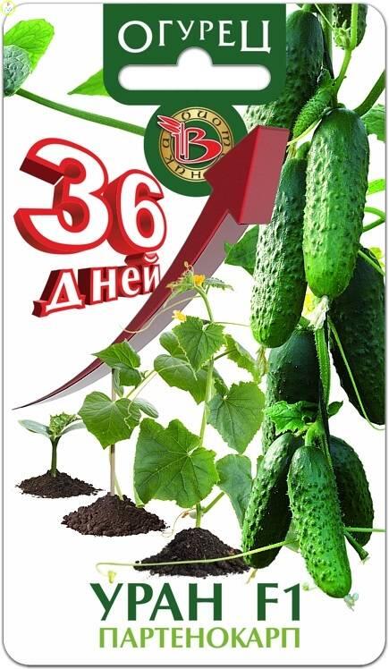 Купить оптом в Ботанике семена Огурец Уран F1 Био бренд Биотехника