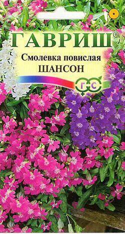 Купить оптом в Ботанике семена Смолевка Шансон повислая Гав бренд Гавриш