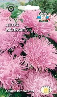 Купить оптом в Ботанике семена Астра Бальфи нежно-сиреневая Сед бренд СеДеК