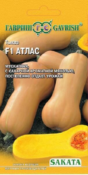 Купить оптом в Ботанике семена Тыква Атлас F1 Гав бренд Гавриш