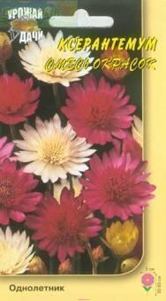 Купить оптом в Ботанике семена Ксерантемум Смесь окрасок УУ бренд Урожай Удачи
