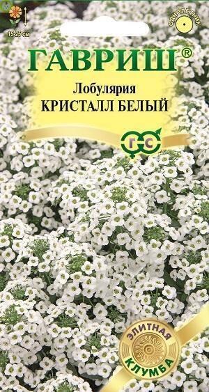 Купить оптом в Ботанике семена Лобулярия Кристалл Белый Гав бренд Гавриш