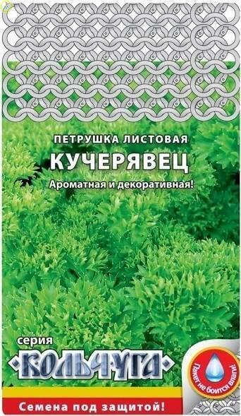 Купить оптом в Ботанике семена Петрушка Кучерявец листовая Кольчуга NEW НК бренд НК