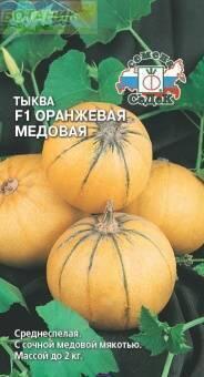 Купить оптом в Ботанике семена Тыква Оранжевая медовая Сед бренд СеДеК