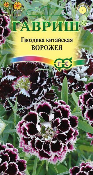 Купить оптом в Ботанике семена Гвоздика китайская Ворожея Гав бренд Гавриш