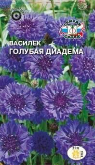 Купить оптом в Ботанике семена Василек Голубая диадема Сед бренд СеДеК