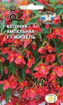 Купить оптом в Ботанике семена Бегония Жизель ампельная клубневая Сед бренд СеДеК