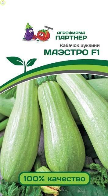 Купить оптом в Ботанике семена Кабачок Маэстро Пар бренд Партнер