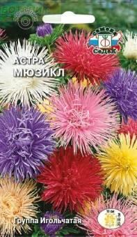 Купить оптом в Ботанике семена Астра Мюзикл Сед бренд СеДеК