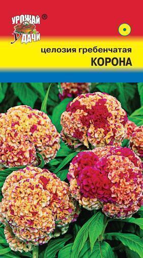 Купить оптом в Ботанике семена Целозия Корона гребенчатая* УУ бренд Урожай Удачи