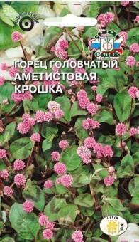 Купить оптом в Ботанике семена Горец Аметистовая крошка Сед бренд СеДеК