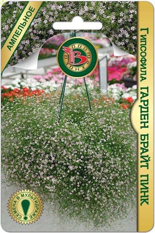 Купить оптом в Ботанике семена Гипсофила Гарден Брайт Пинк Био бренд Биотехника