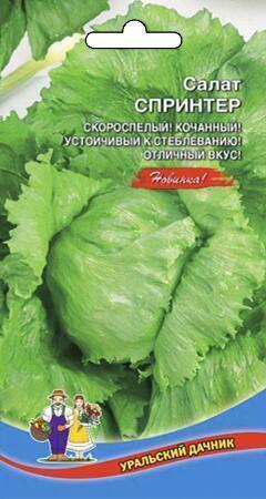 Купить оптом в Ботанике семена Салат Спринтер УД бренд Уральский дачник