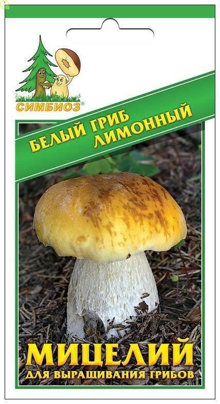 Купить оптом в Ботанике семена Белый гриб лимонный Сим бренд НПМЛ СИМБИОЗ