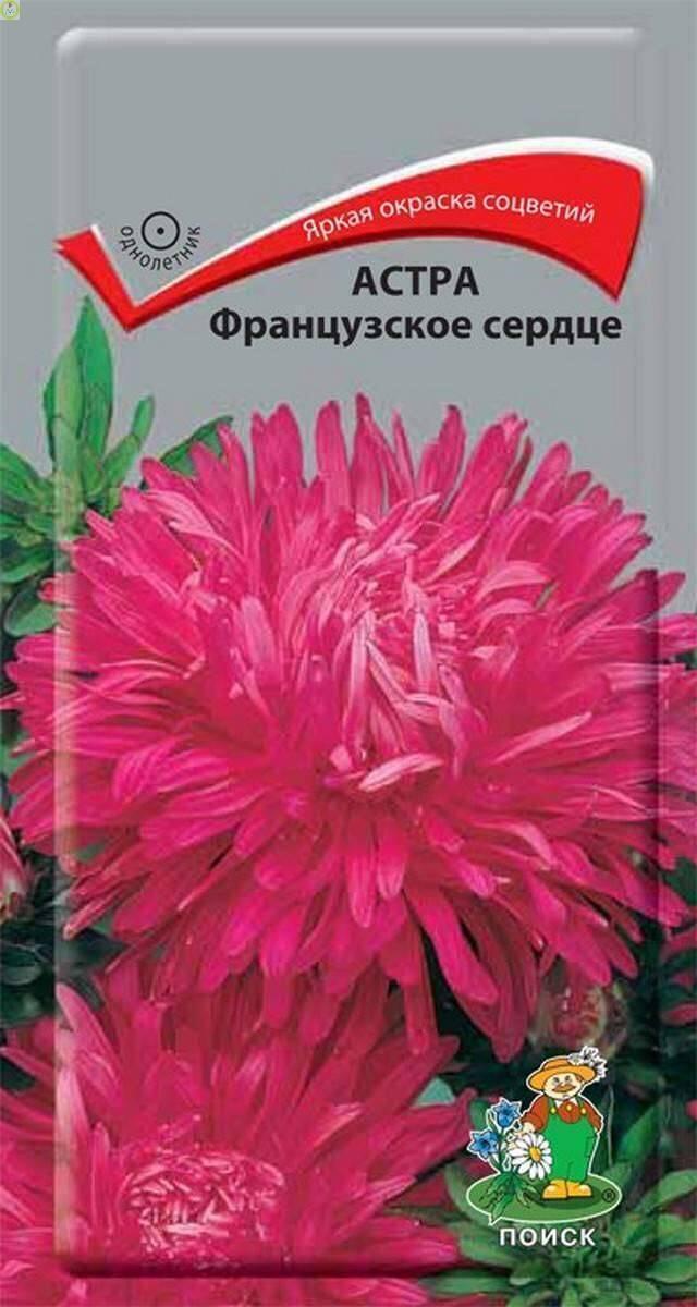 Купить оптом в Ботанике семена Астра Французское сердце Поиск бренд Поиск