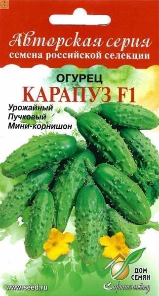 Купить оптом в Ботанике семена Огурец Карапуз F1 ССО бренд Сортсемовощ