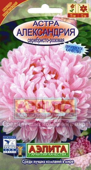 Купить оптом в Ботанике семена Астра Александрия серебристо-розовая Аэл бренд Аэлита