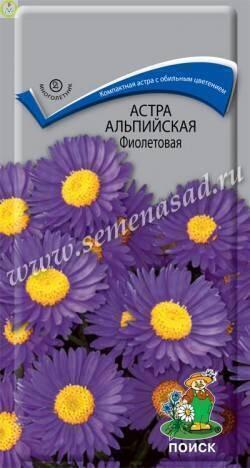 Купить оптом в Ботанике семена Астра Альпийская фиолетовая Поиск бренд Поиск