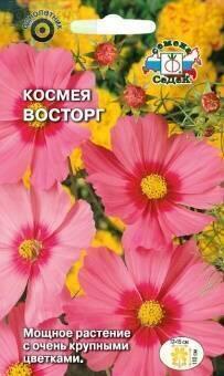 Купить оптом в Ботанике семена Космея Восторг Сед бренд СеДеК