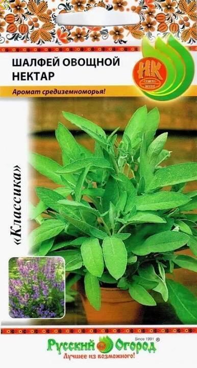 Купить оптом в Ботанике семена Шалфей Нектар НК бренд НК