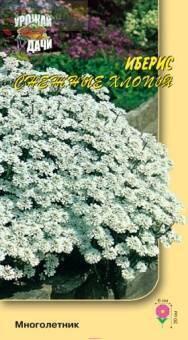 Купить оптом в Ботанике семена Иберис Снежные хлопья УУ бренд Урожай Удачи