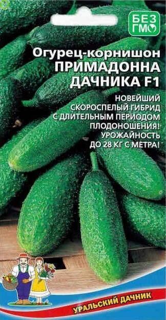 Купить оптом в Ботанике семена Огурец Примадонна Дачника F1 УД бренд Уральский дачник