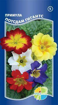 Купить оптом в Ботанике семена Примула Потсдам Гиантс Акв бренд Акварель