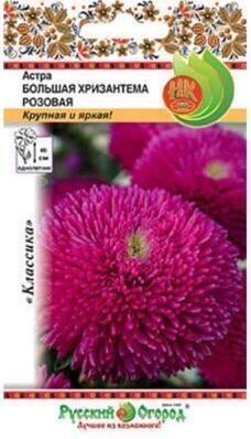 Купить оптом в Ботанике семена Астра Большая хризантема розовая НК бренд НК