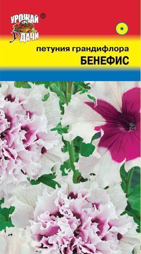 Купить оптом в Ботанике семена Петуния Бенефис F1 УУ бренд Урожай Удачи