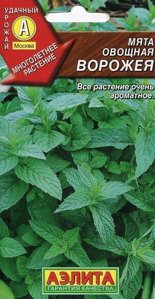 Купить оптом в Ботанике семена Мята перечная Ворожея Аэл бренд Аэлита