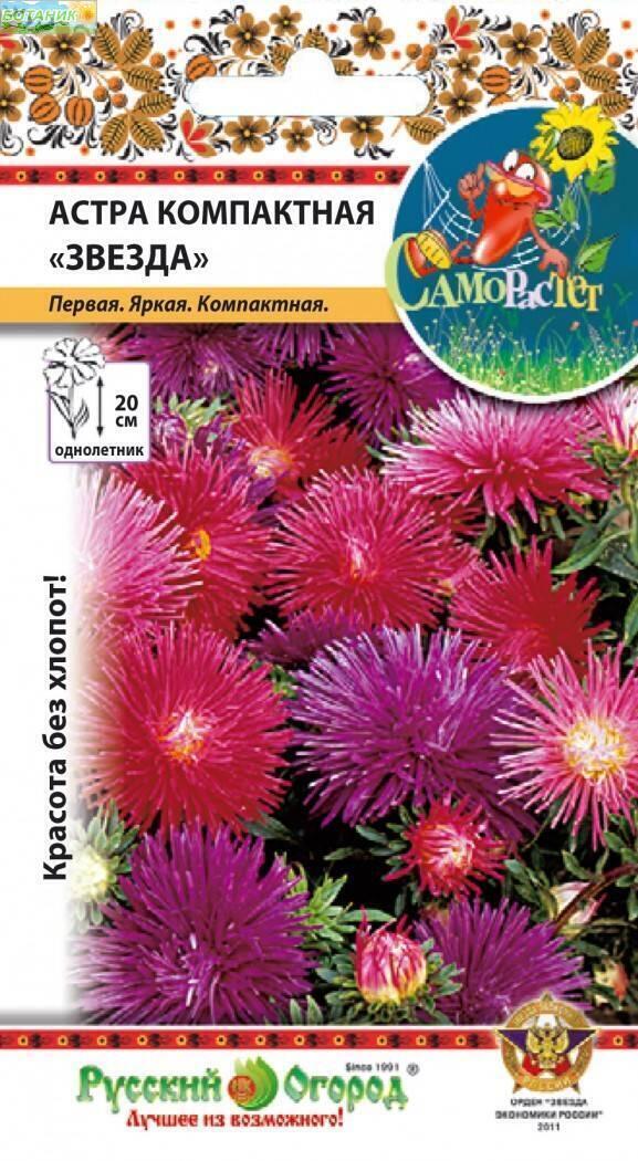 Купить оптом в Ботанике семена Астра Звезда компактная смесь НК бренд НК
