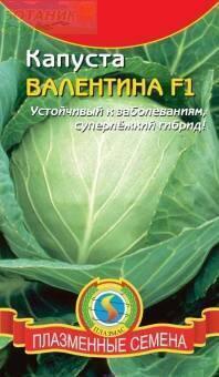 Купить оптом в Ботанике семена Капуста белокочанная Валентина F1 Плз бренд Плазмас