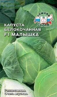 Купить оптом в Ботанике семена Капуста белокочанная Малышка F1 Сед бренд СеДеК