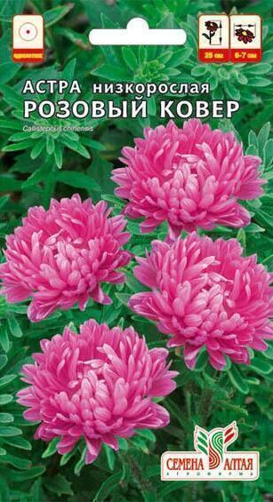 Купить оптом в Ботанике семена Астра Розовый ковер СА бренд Семена Алтая