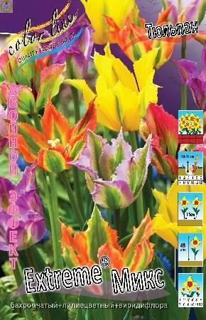 Купить оптом в Ботанике Тюльпан Extreme Микс 6 шт