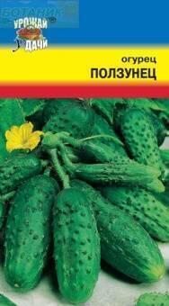 Купить оптом в Ботанике семена Огурец Ползунец F1 УУ бренд Урожай Удачи