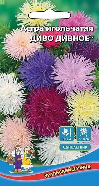 Купить оптом в Ботанике семена Астра Диво Дивное игольчатая УД бренд Уральский дачник, Марс